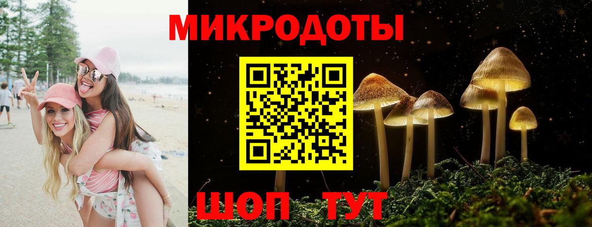 Псилоцибиновые грибы ЛСД Белореченск